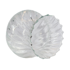 Vidro De Reposição Taschibra Pendente Lustre Aisha Rigato Tra