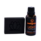 Vitrificador De Pintura Insignia Light 30ml Easytech