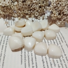 Wax Melts 40 Gr