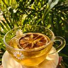 Xicara Vidro Margarida Com Pires Pinus