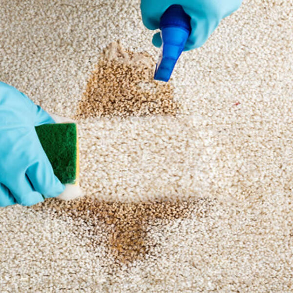 higienização de tapetes: tapete sendo higienizado com Detergente para Limpeza de Tapetes e Carpetes Xispa MD 83