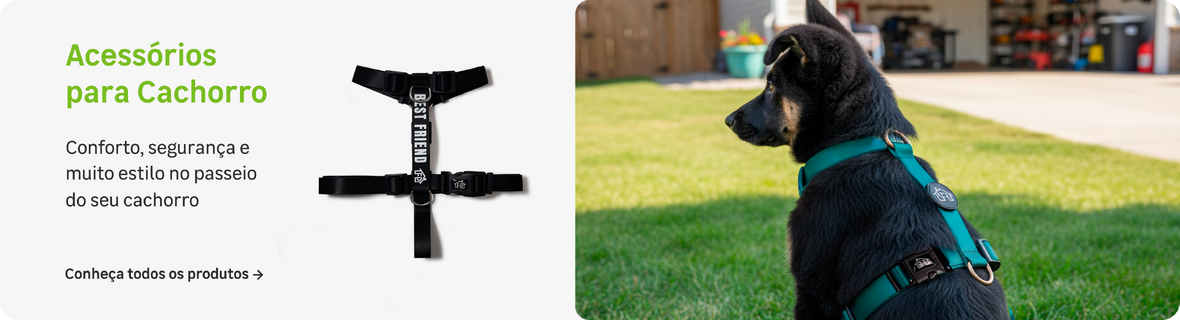 Acessórios para cachorro