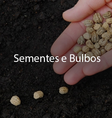 Sementes e Bulbos